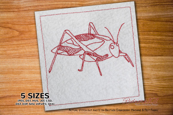Tettigoniidae Grasshopper Redwork Review
